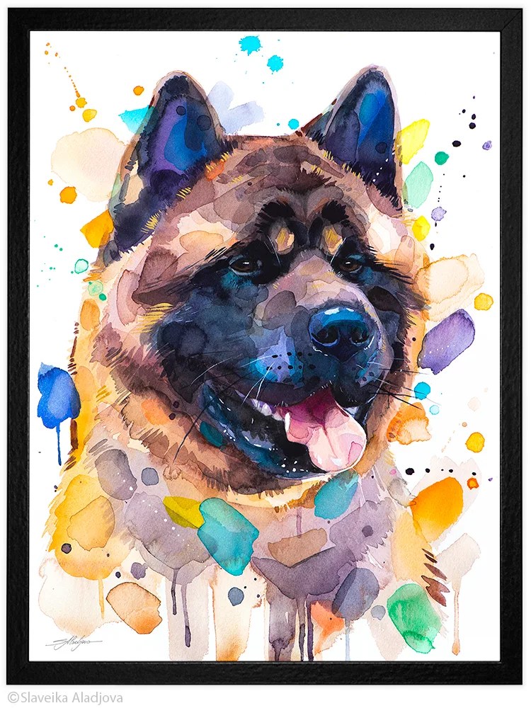 American Akita