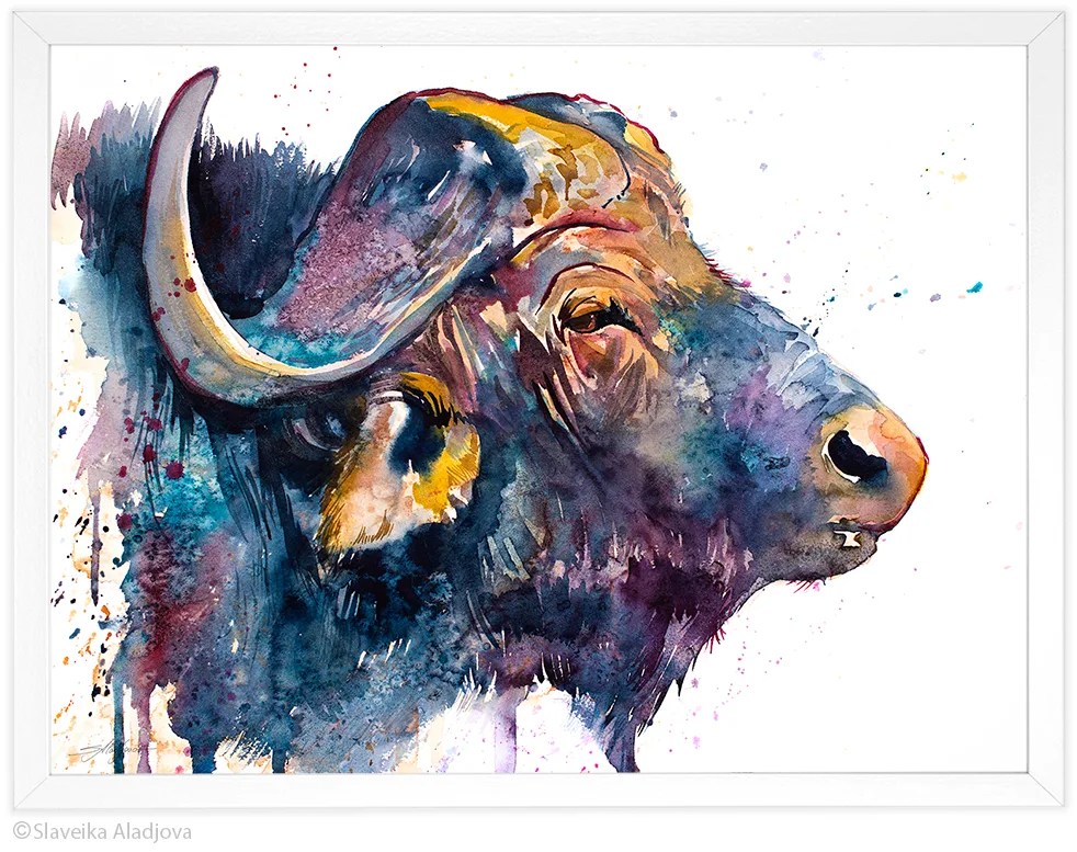 African buffalo watercolor painting, limited edition art print by Slaveika Aladjova, view 4