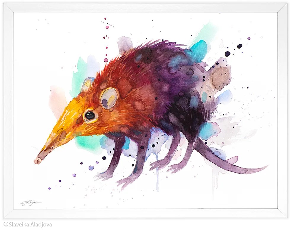 Golden-rumped elephant shrew watercolor painting, limited edition art print by Slaveika Aladjova, view 4