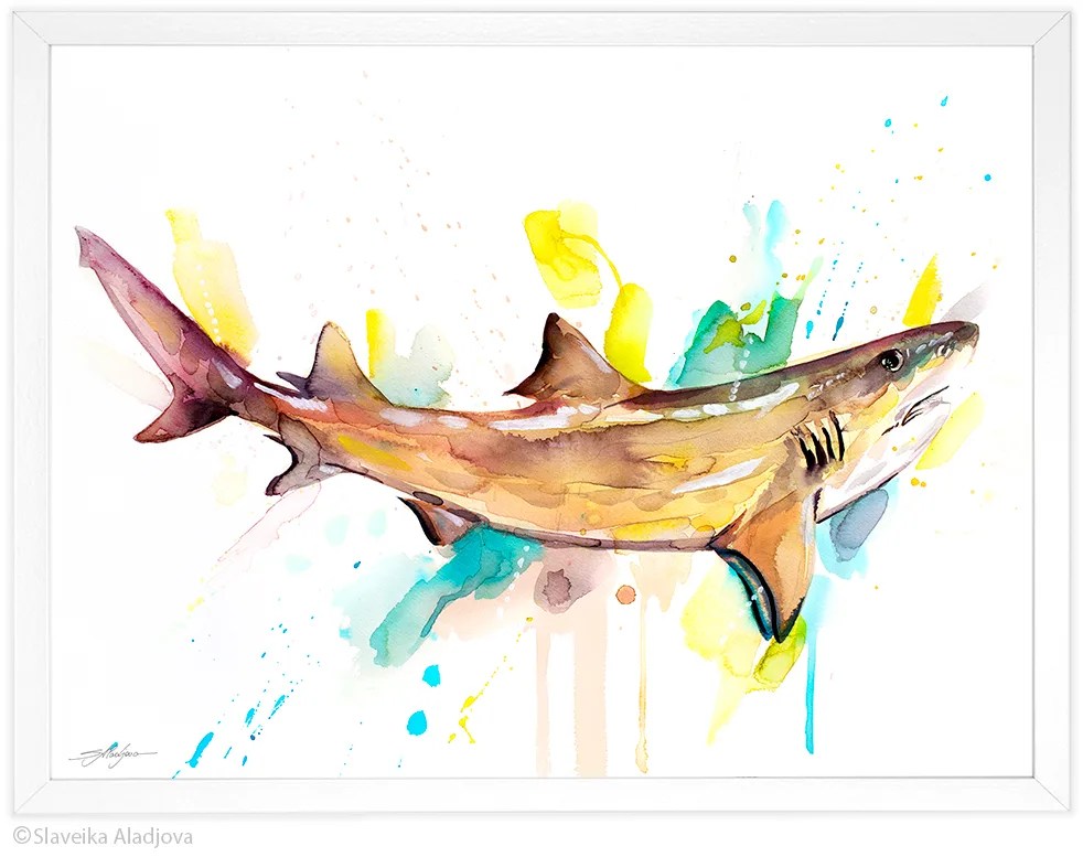 Lemon shark