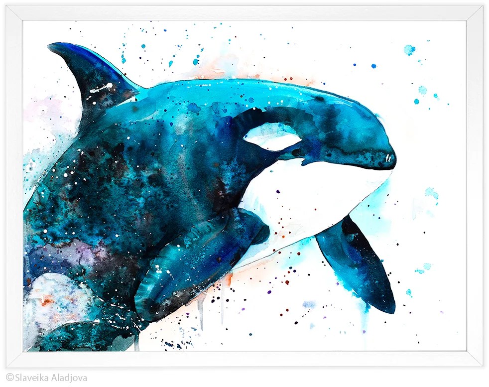 Orca watercolor painting, limited edition art print by Slaveika Aladjova, view 4