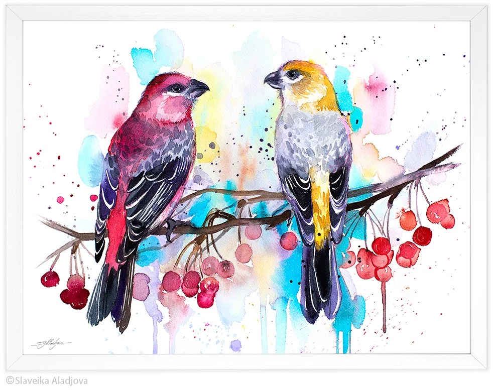 Pine Grosbeaks watercolor painting print by Slaveika Aladjova