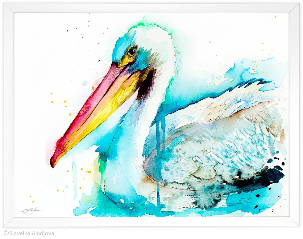 American White Pelican