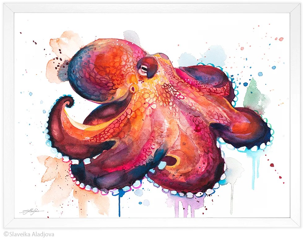 Coconut Octopus, Amphioctopus marginatus watercolor painting print by Slaveika Aladjova, art, animal, illustration, Sea art, sea life art