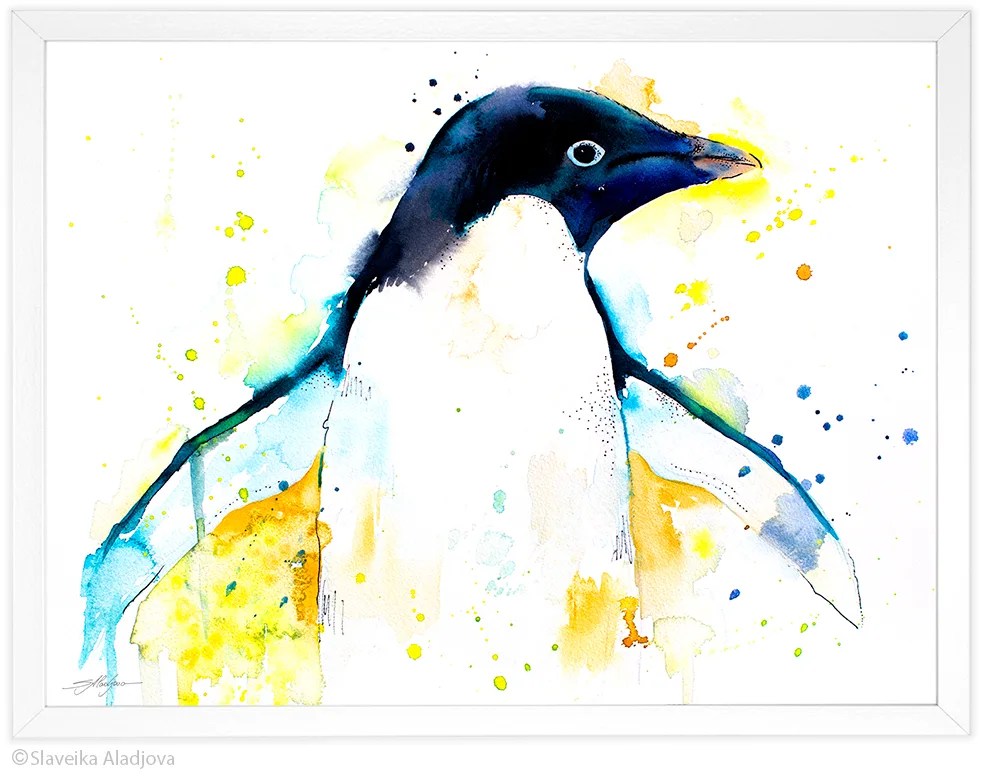 Adélie penguin