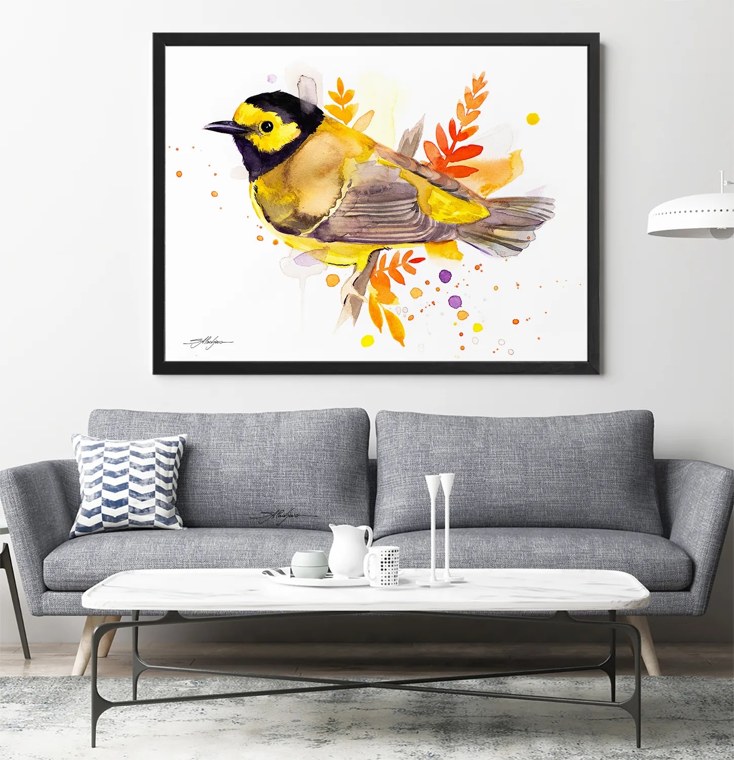 Hooded warbler bird