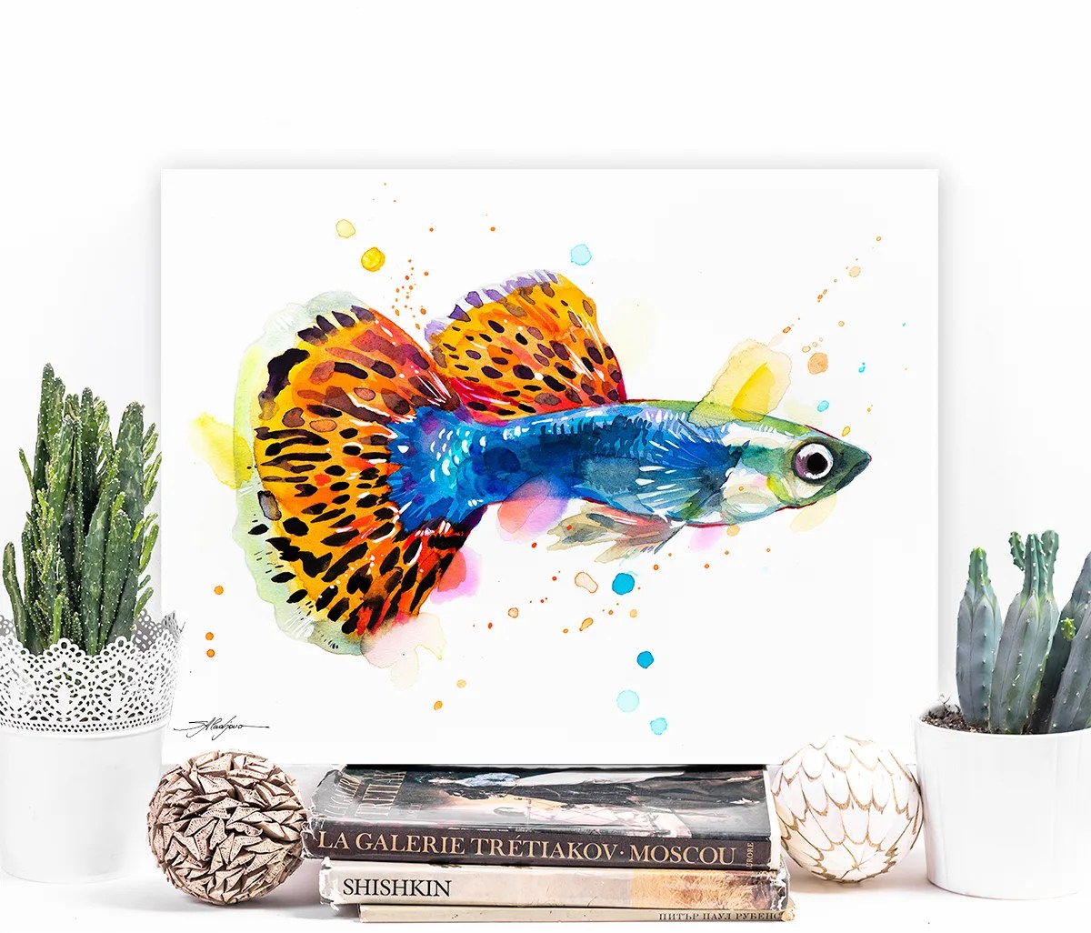 Guppy, Rainbow fish