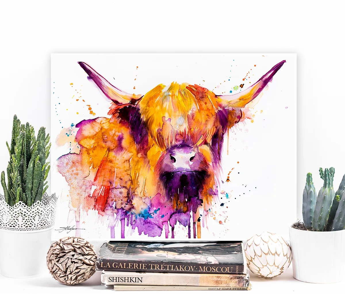 Highland Cow