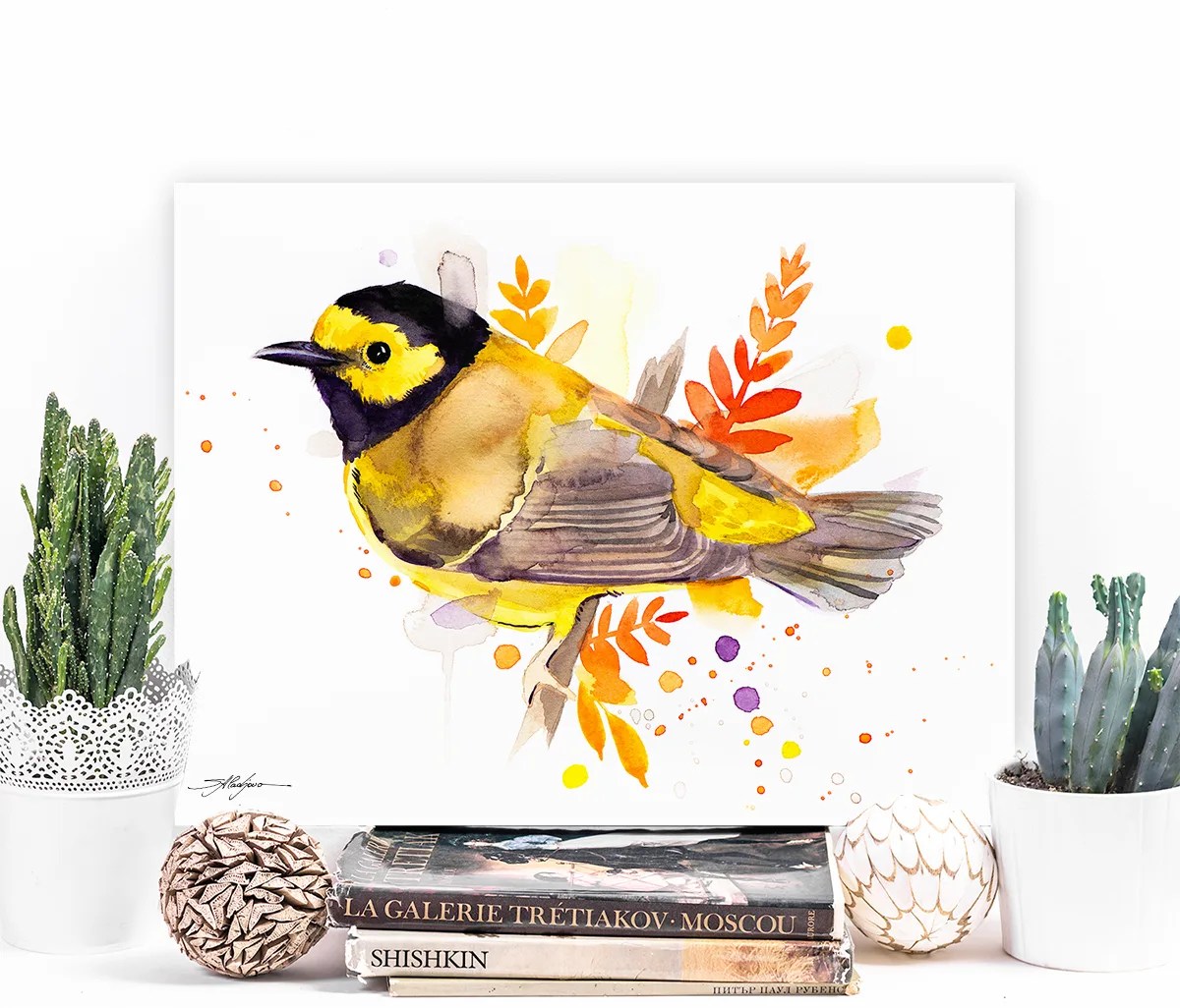 Hooded warbler bird