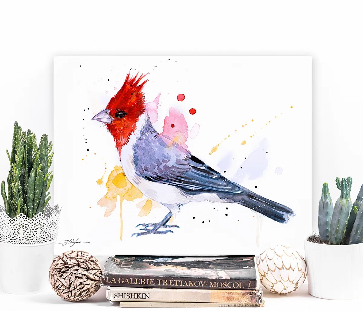 Red-crested cardinal
