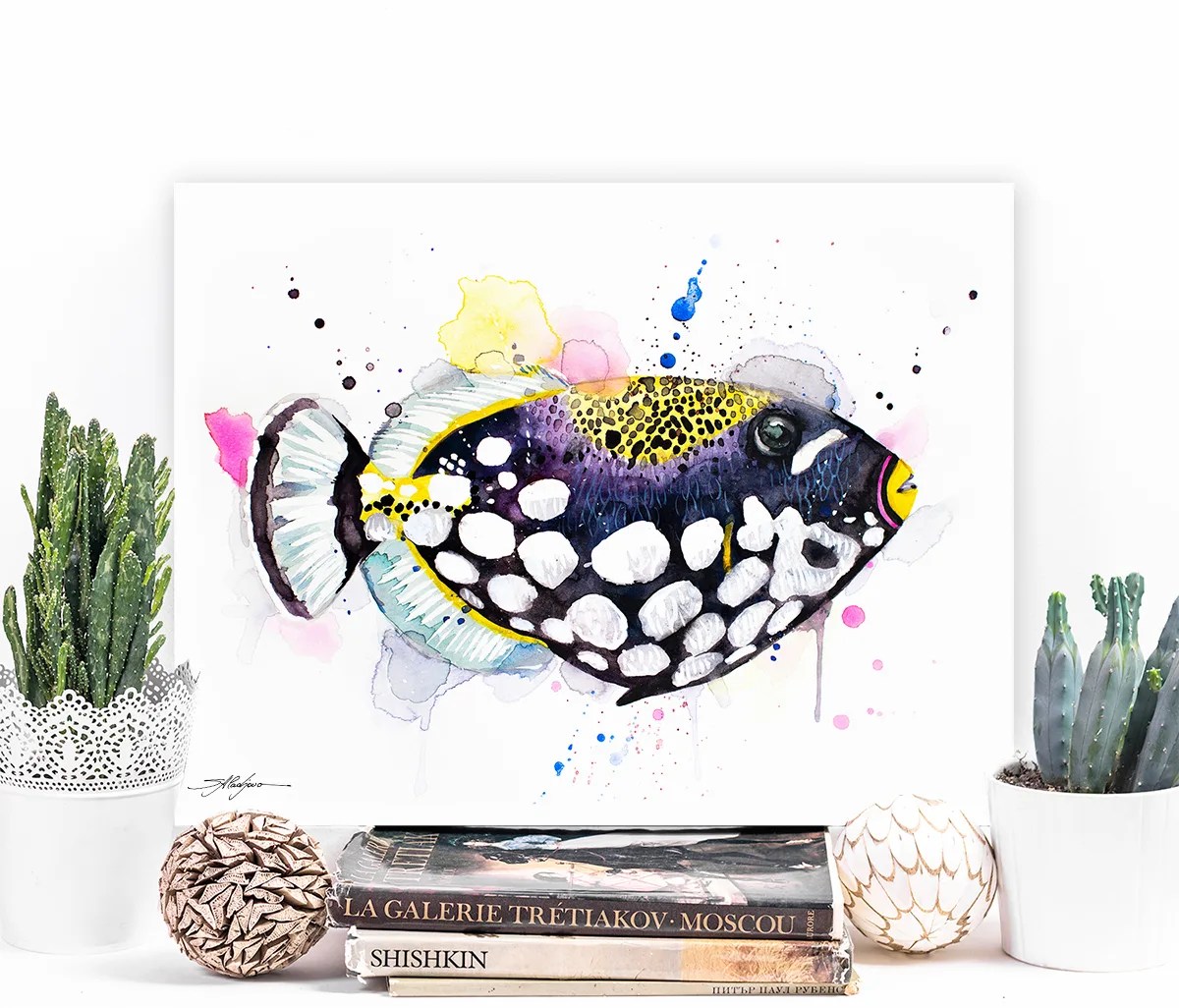 Clown Triggerfish