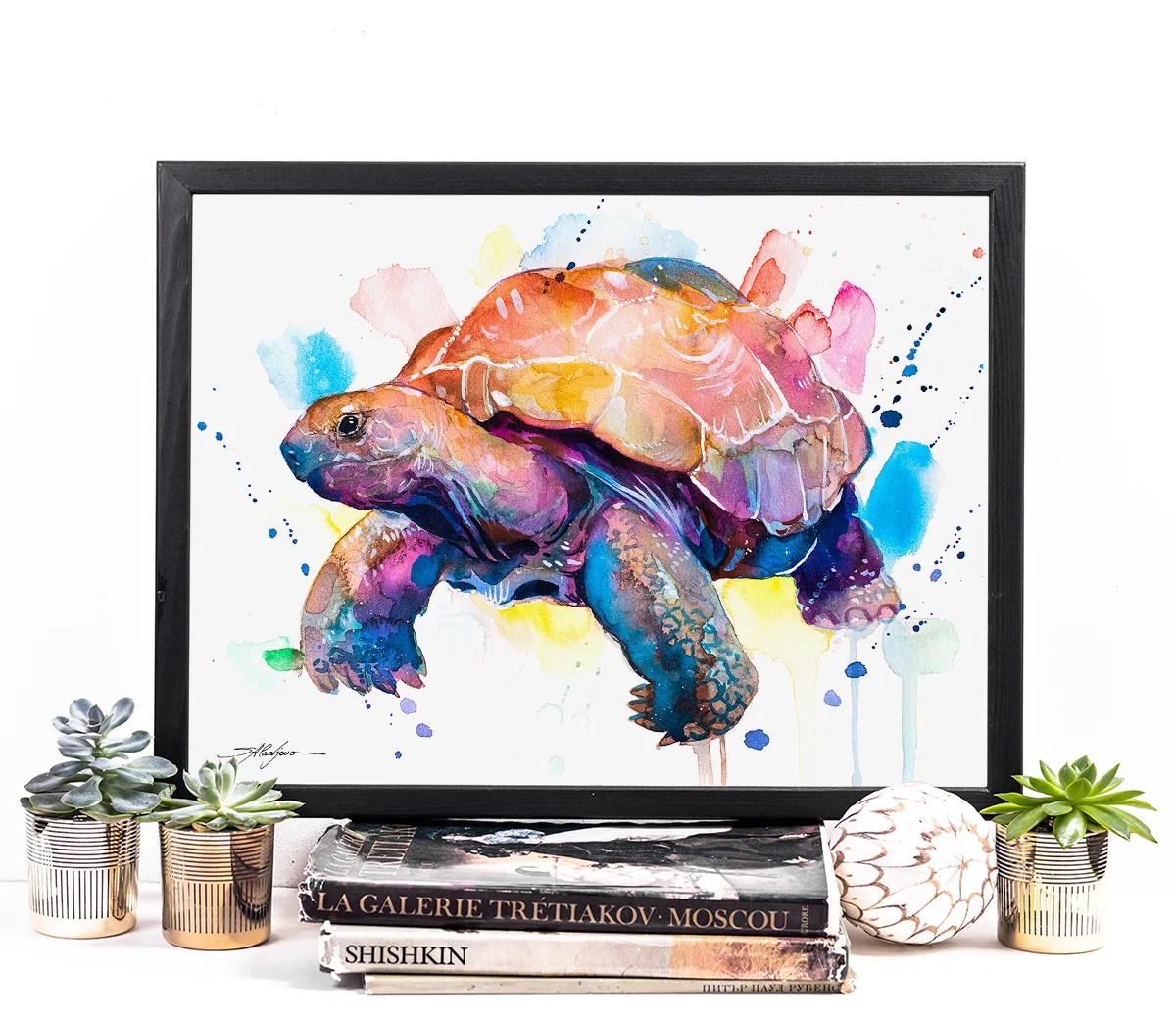Giant tortoise, Galapagos Giant Tortoise