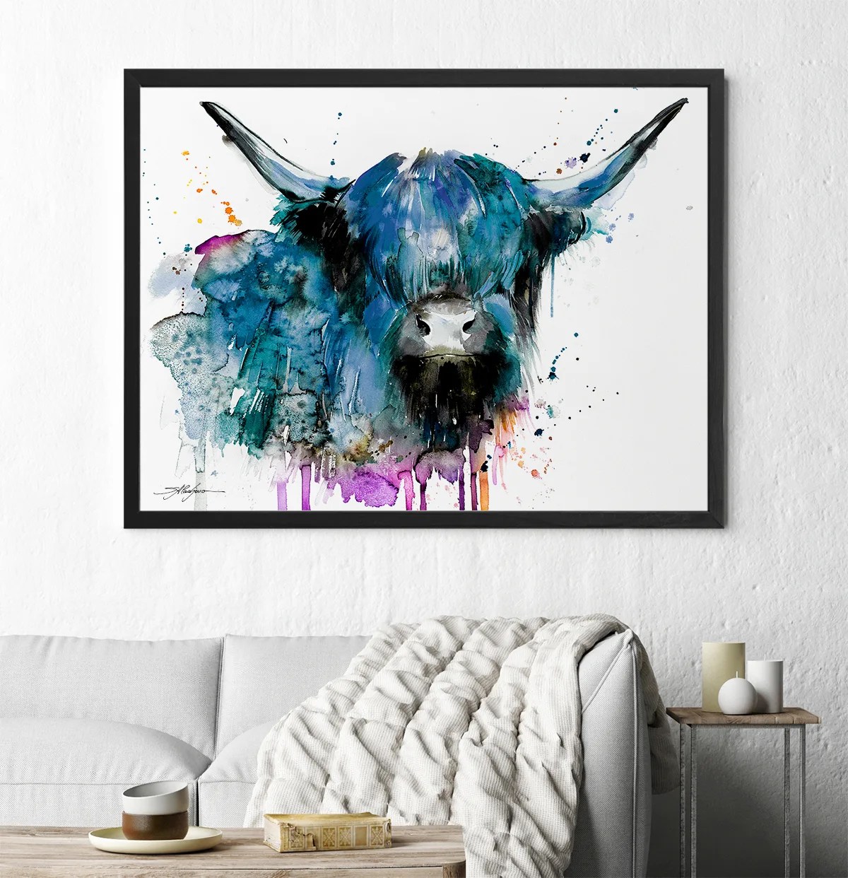 Black Highland Cow Cattle