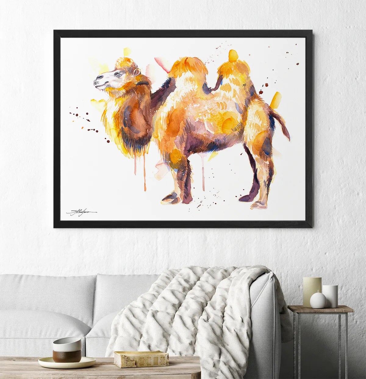 Camel