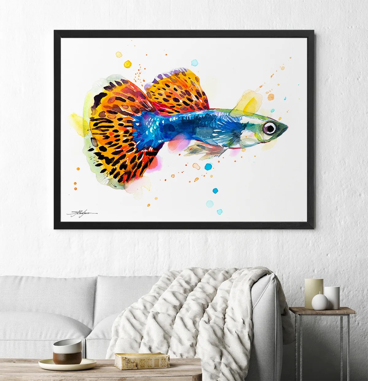 Guppy, Rainbow fish