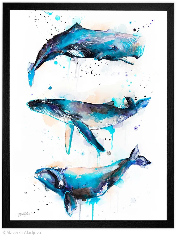 Sperm whale, Right whale,Humpback whale