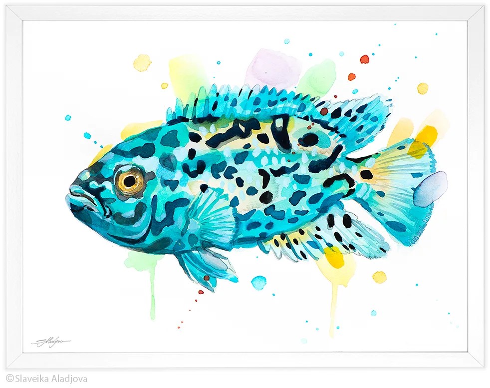 Electric blue Jack Dempsey watercolor painting, limited edition art print by Slaveika Aladjova, view 4