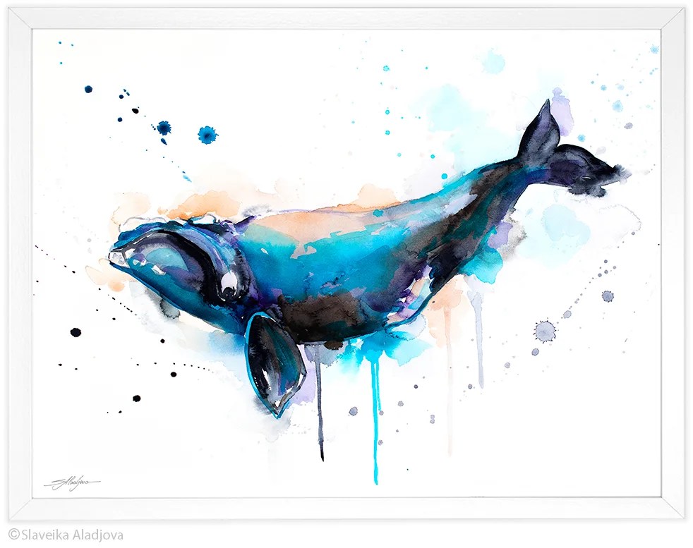 North Atlantic right whale watercolor painting, limited edition art print by Slaveika Aladjova, view 4