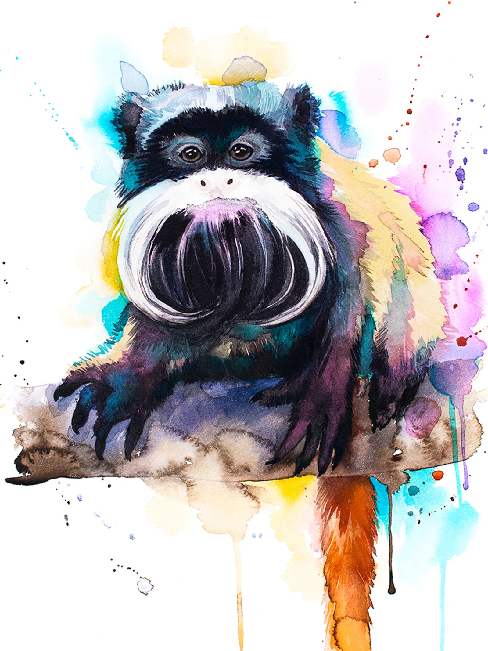 Emperor Tamarin