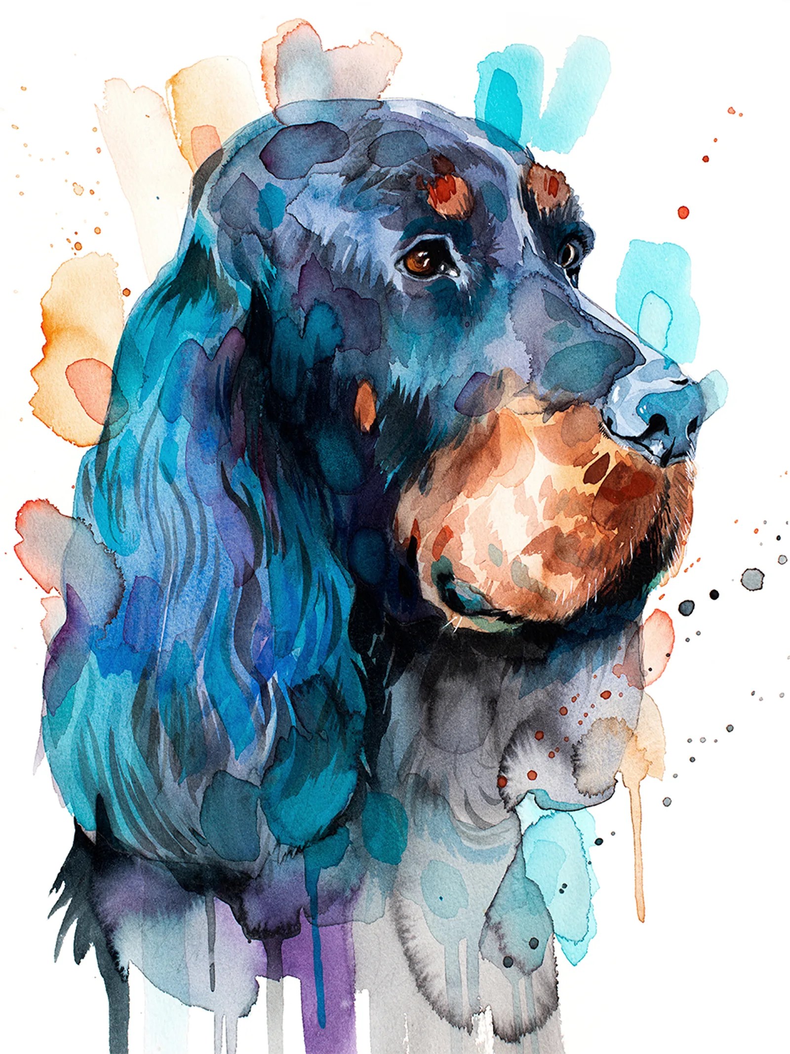 Gordon Setter Dog