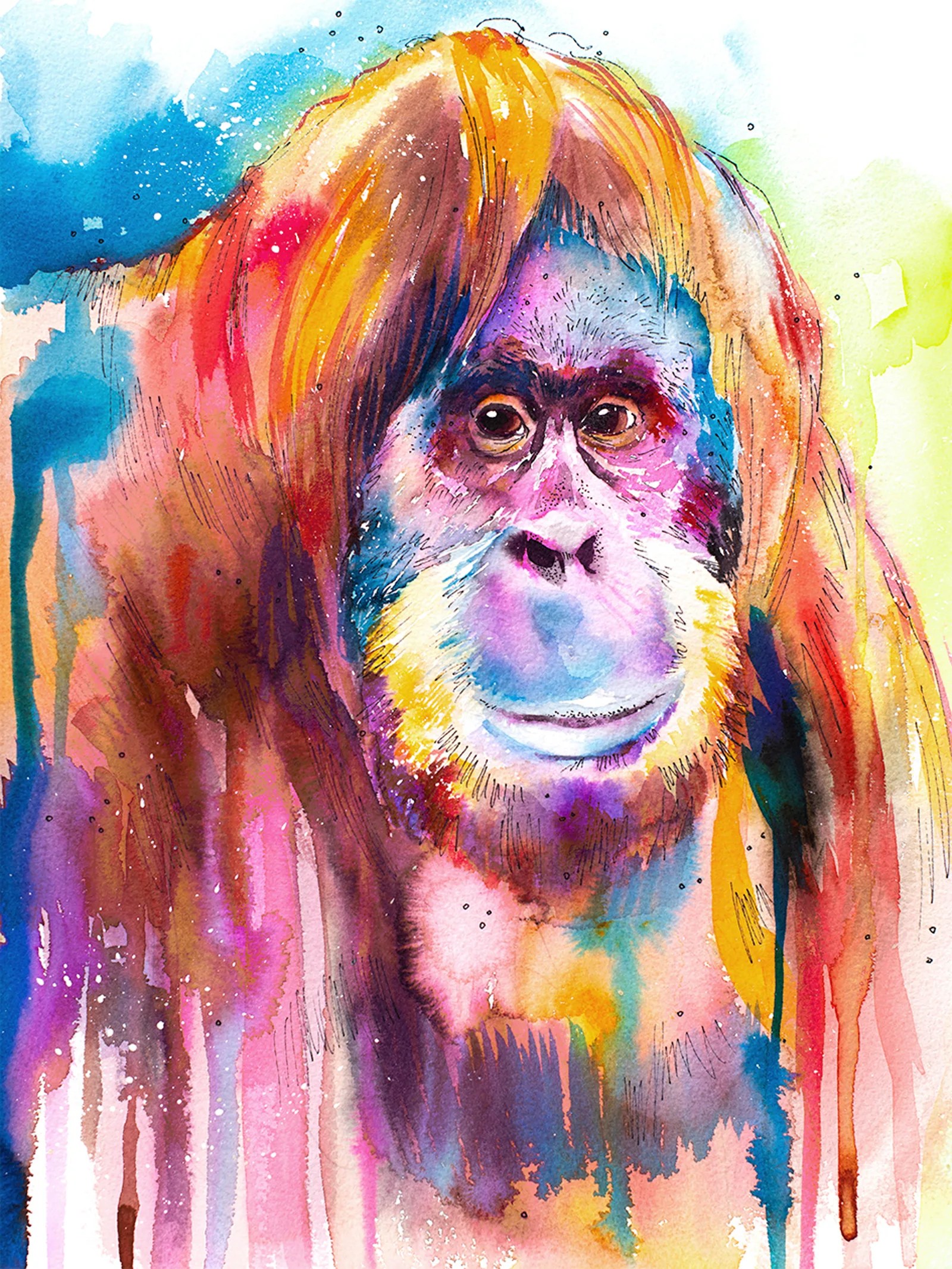 Orangutan