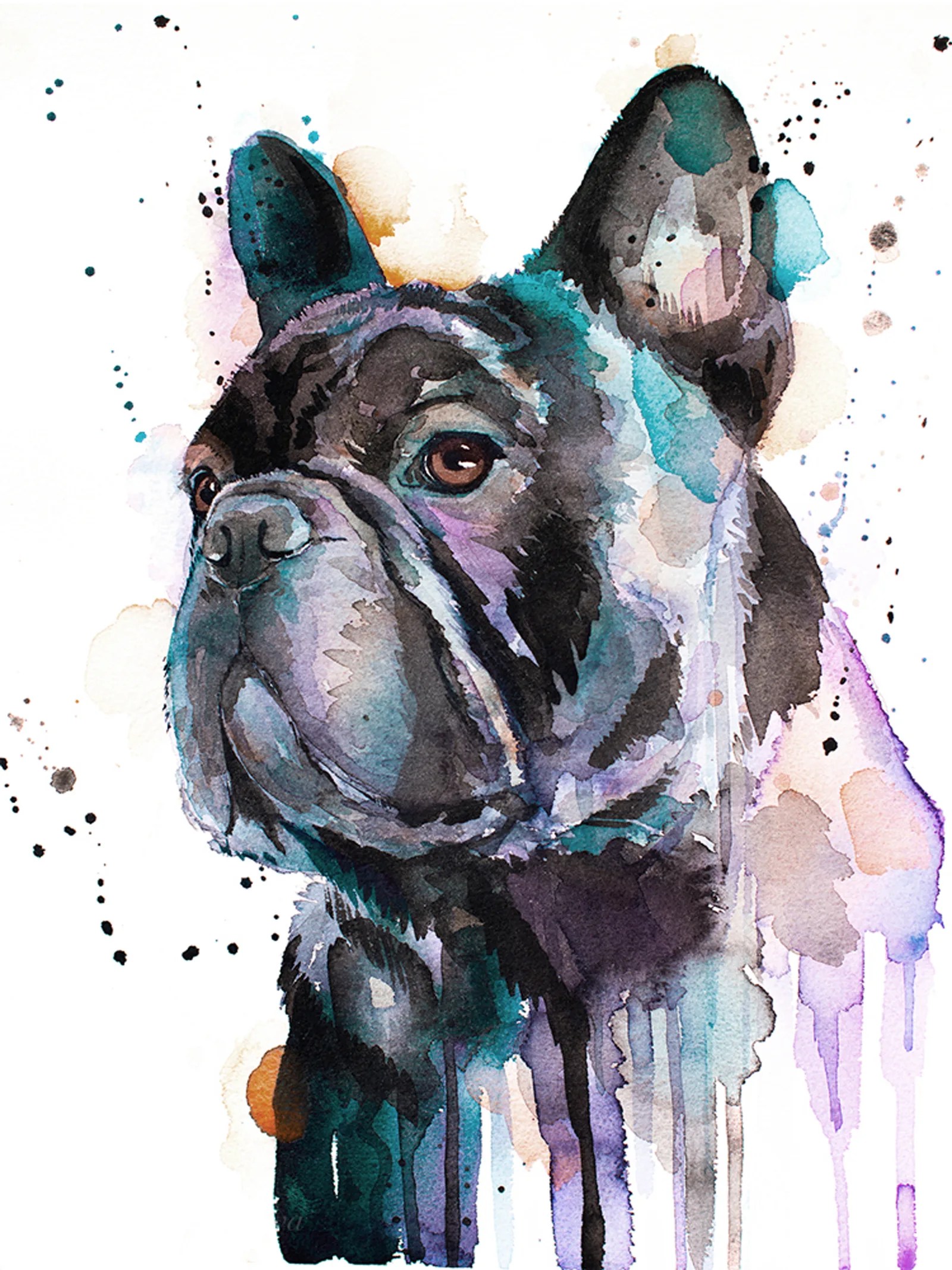 Black French Bulldog