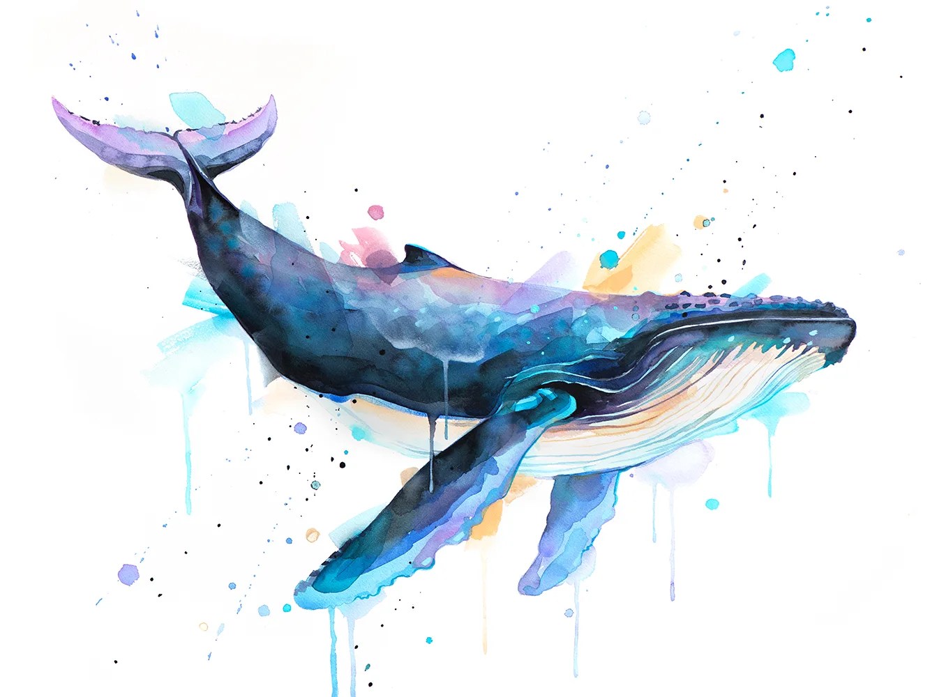Humpback whale