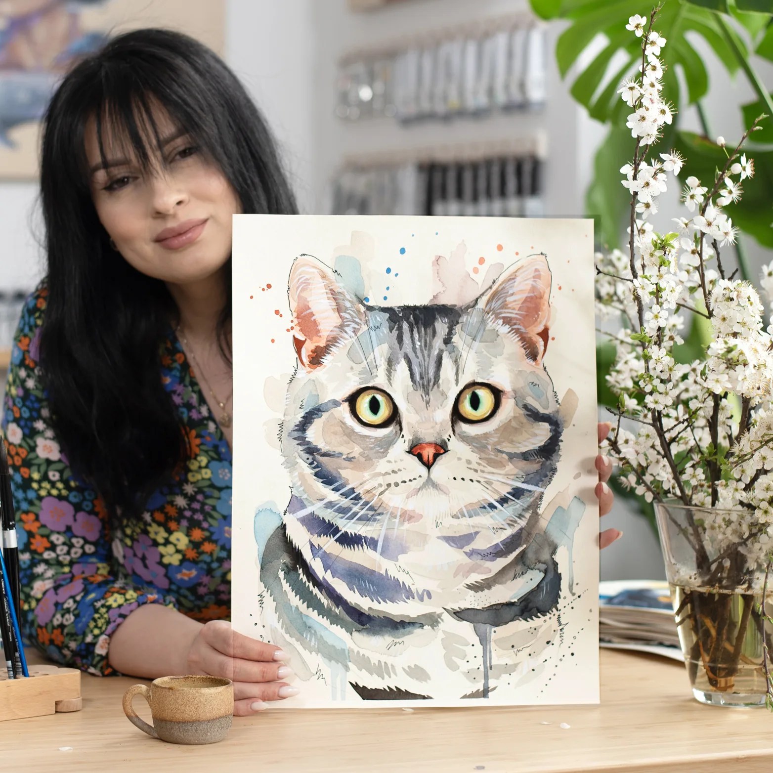 American Shorthair cat