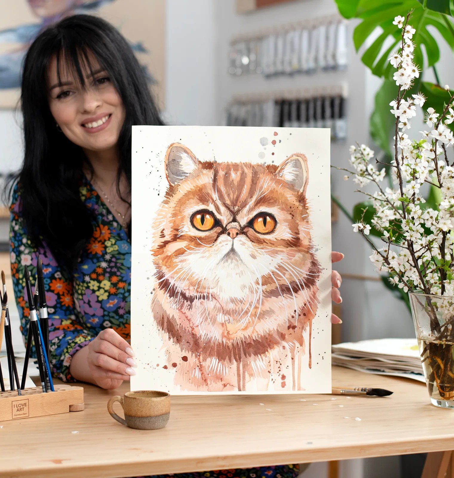 Exotic Shorthair Cat