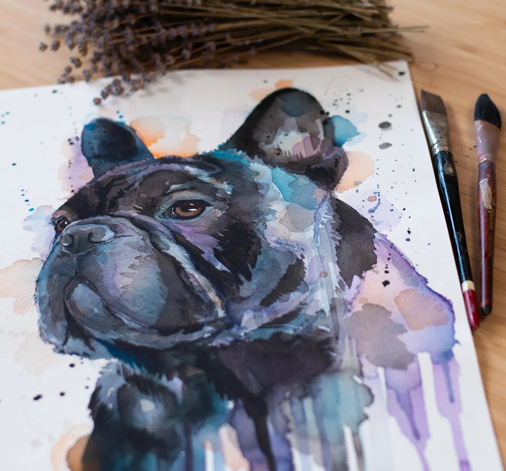 Black French Bulldog