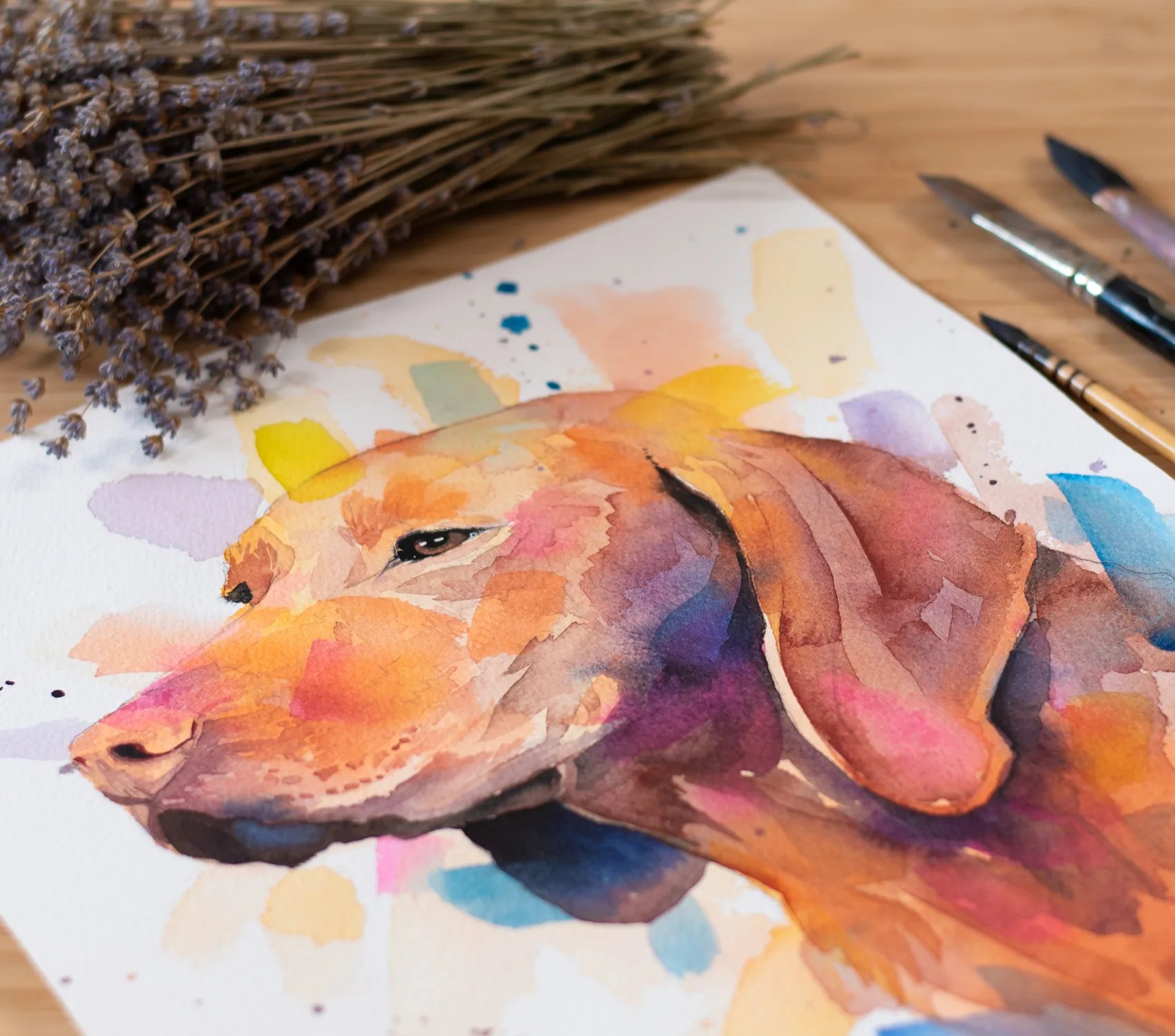 Vizsla