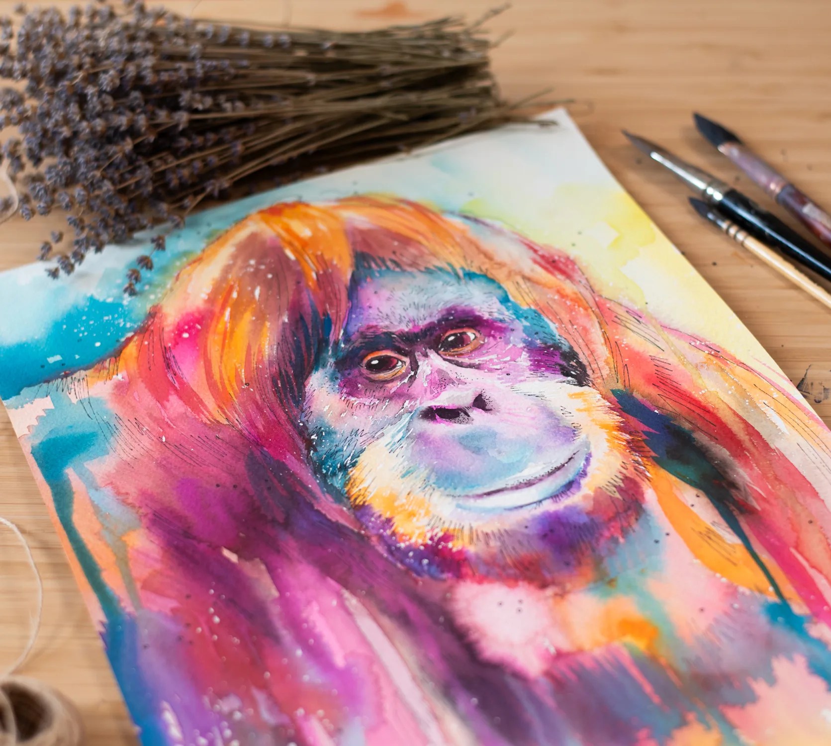 Orangutan