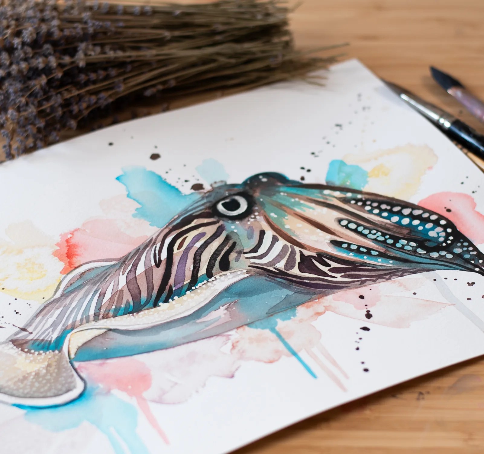 Common Cuttlefish