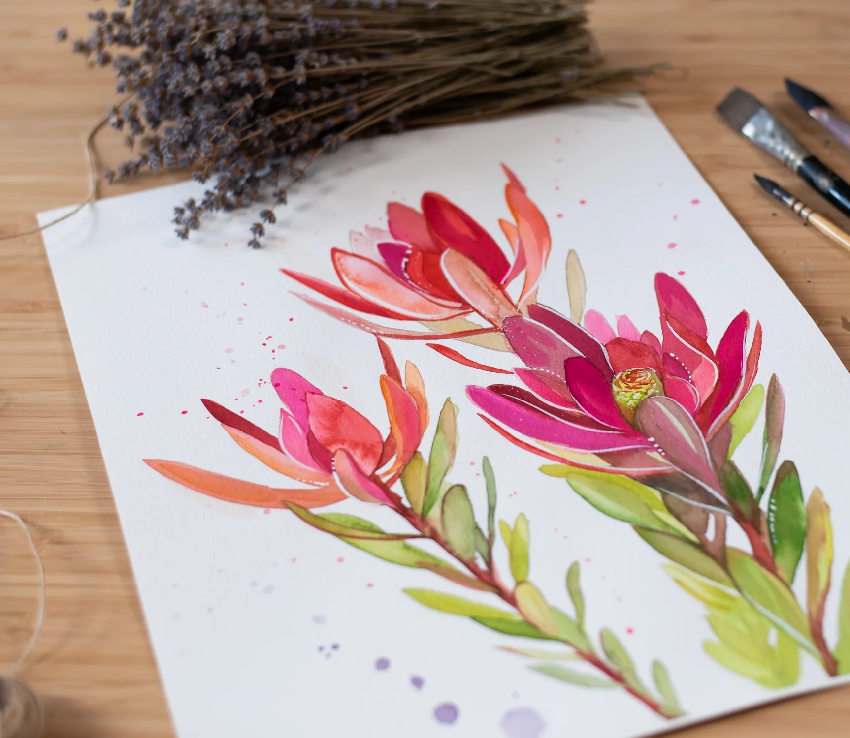 Leucadendron, Safari Sunset flower