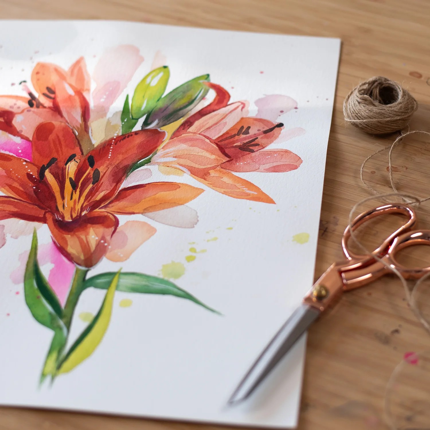 Lilium