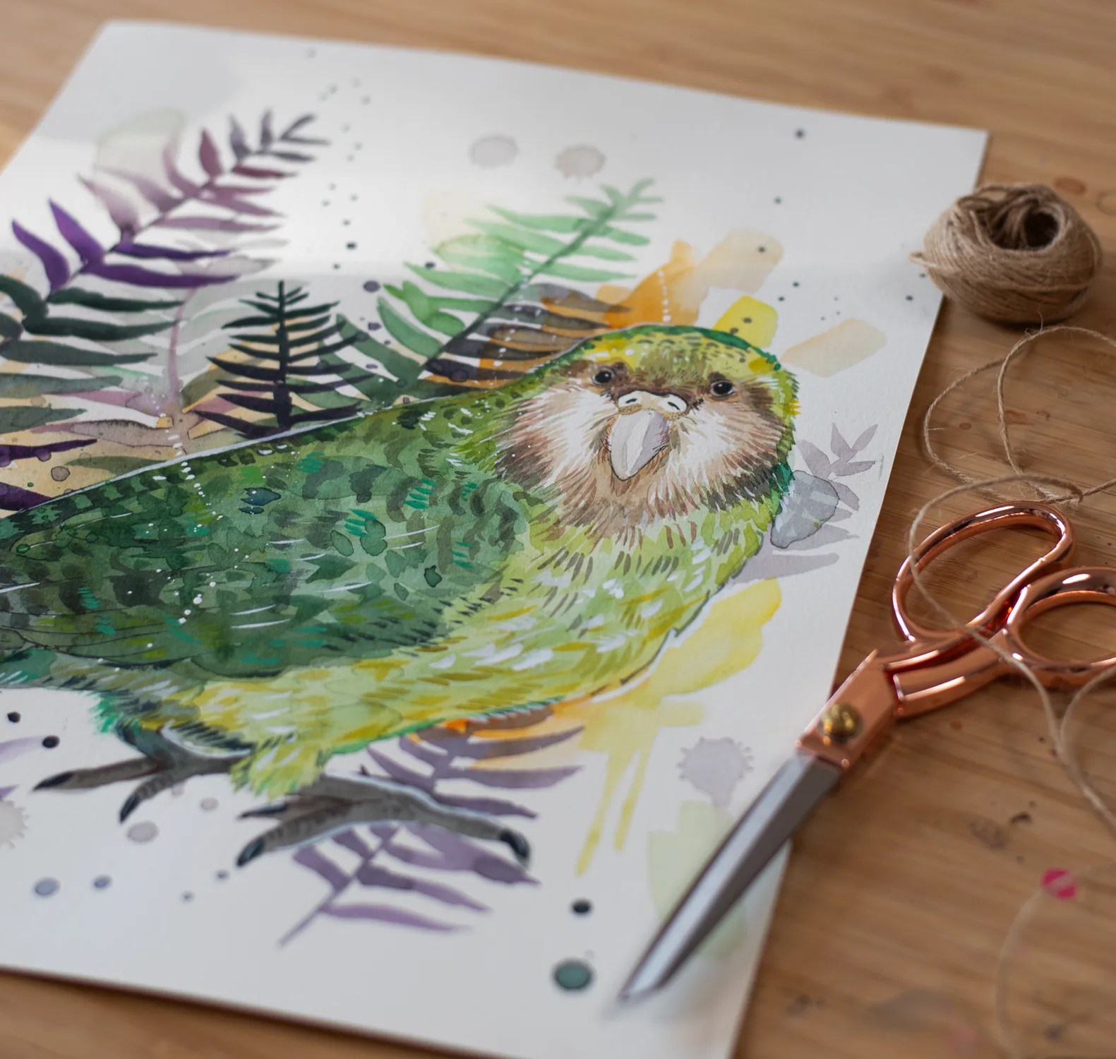 Kakapo, Owl parrot, bird