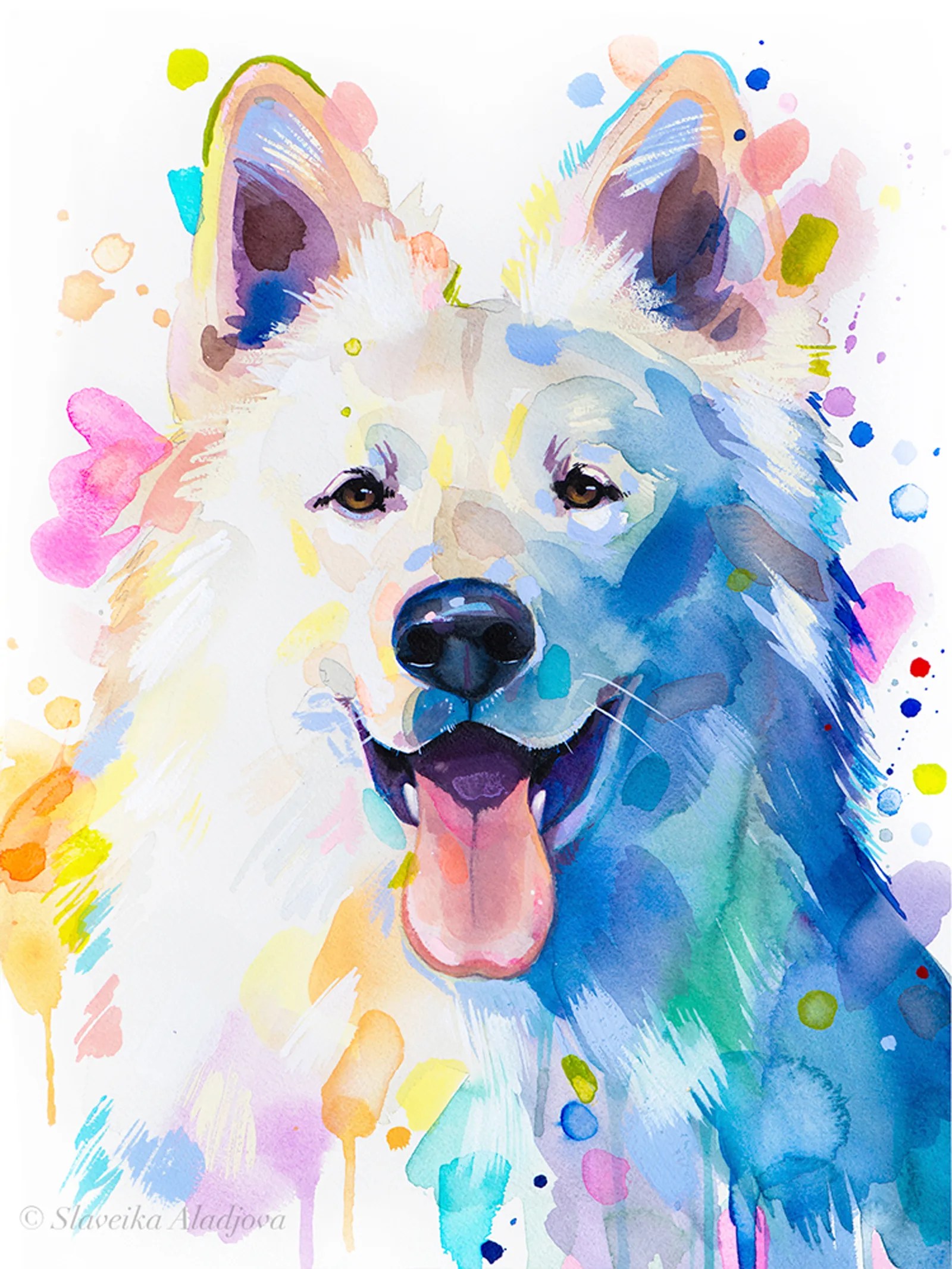 White Swiss Shepherd Dog