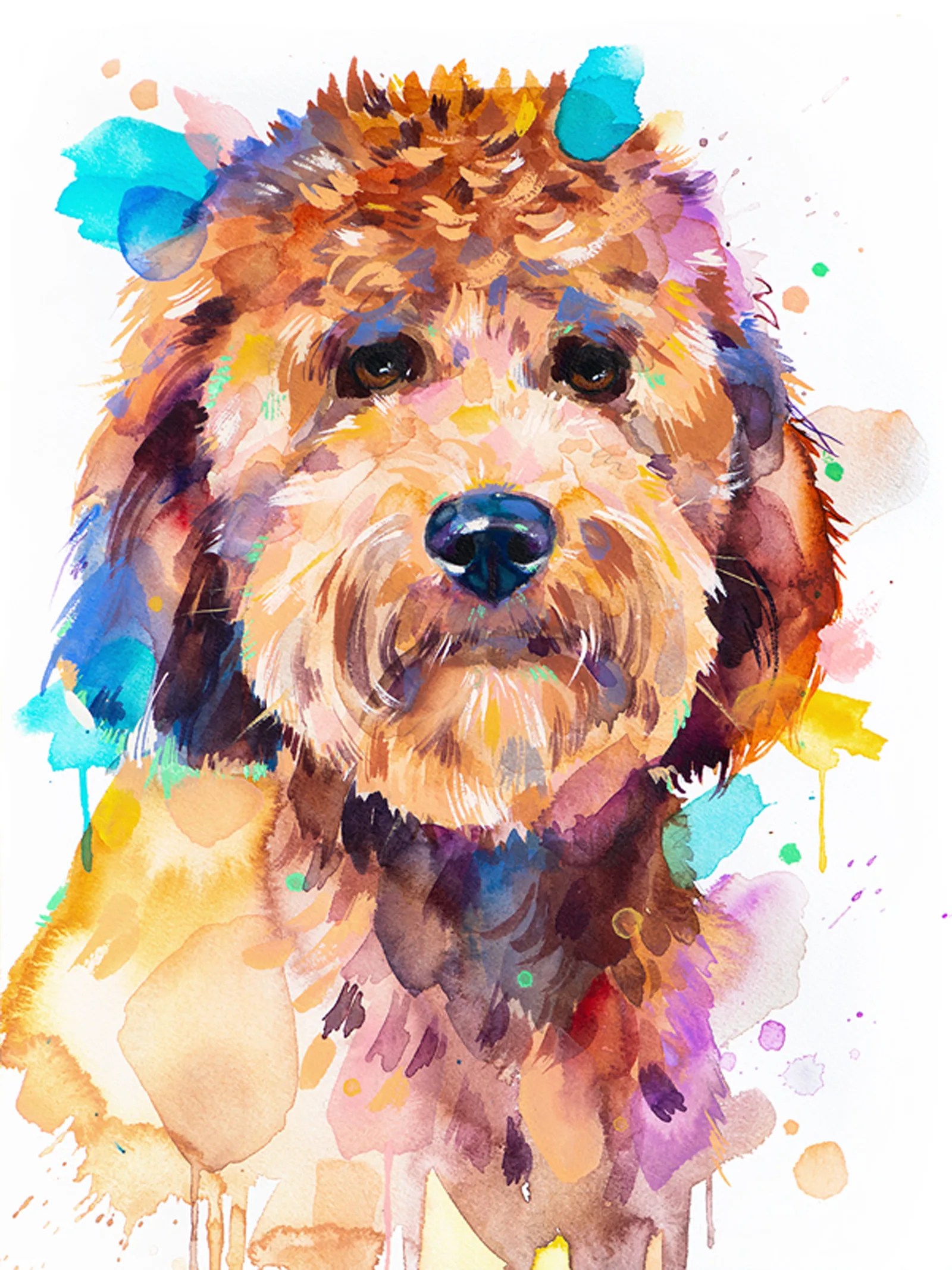 Goldendoodle dog