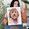 Goldendoodle dog Goldendoodle dog