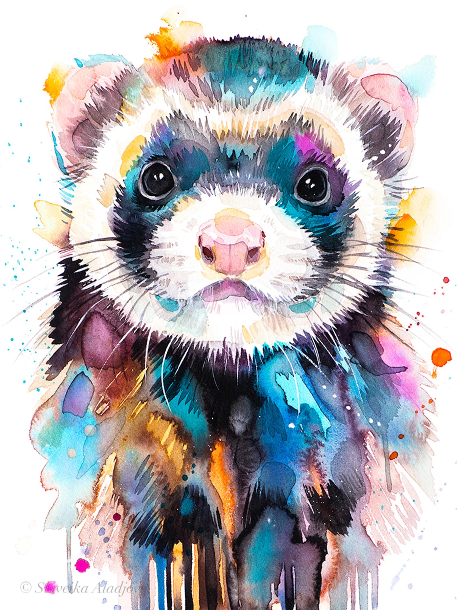 Ferret
