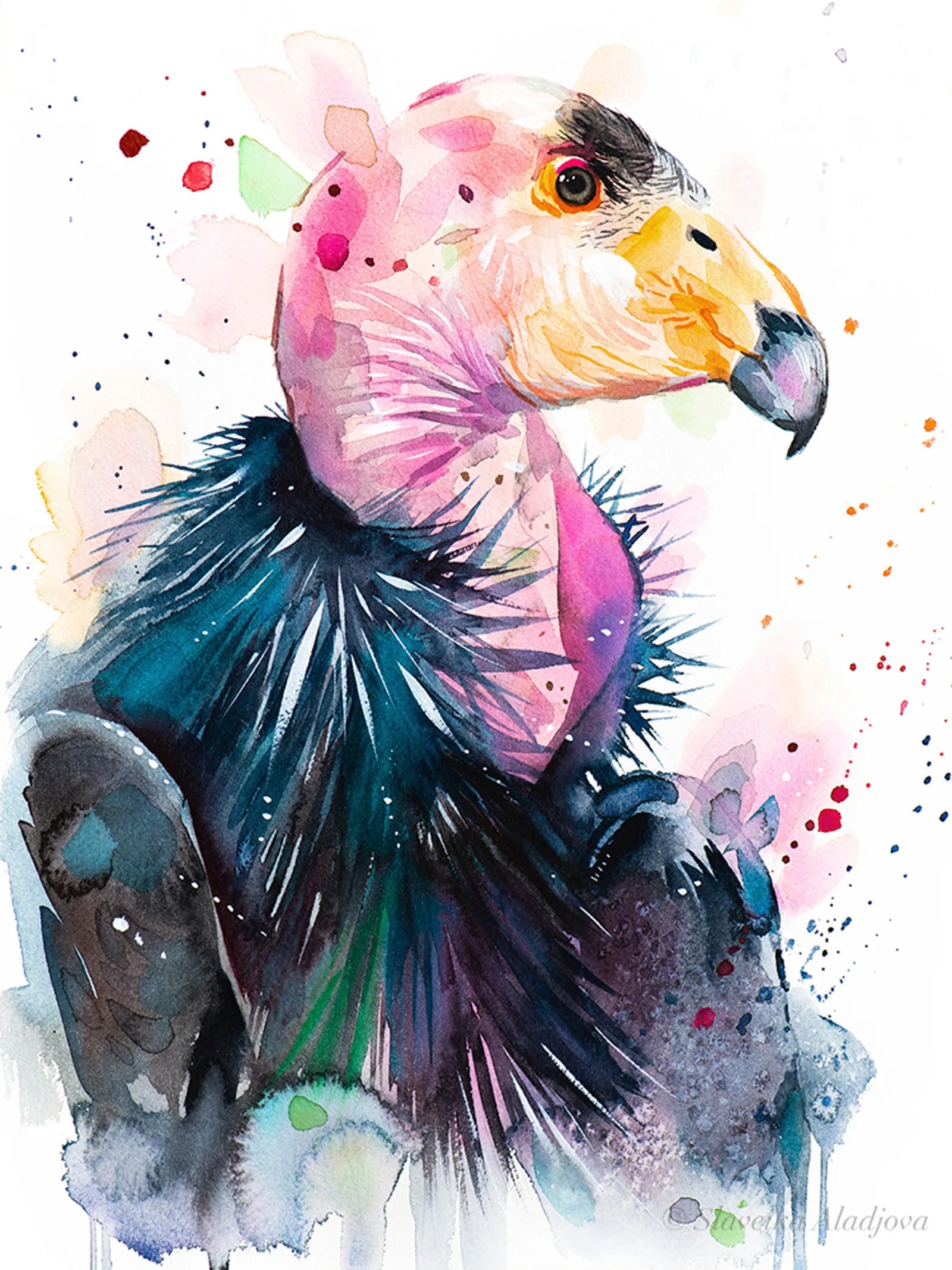 California Condor