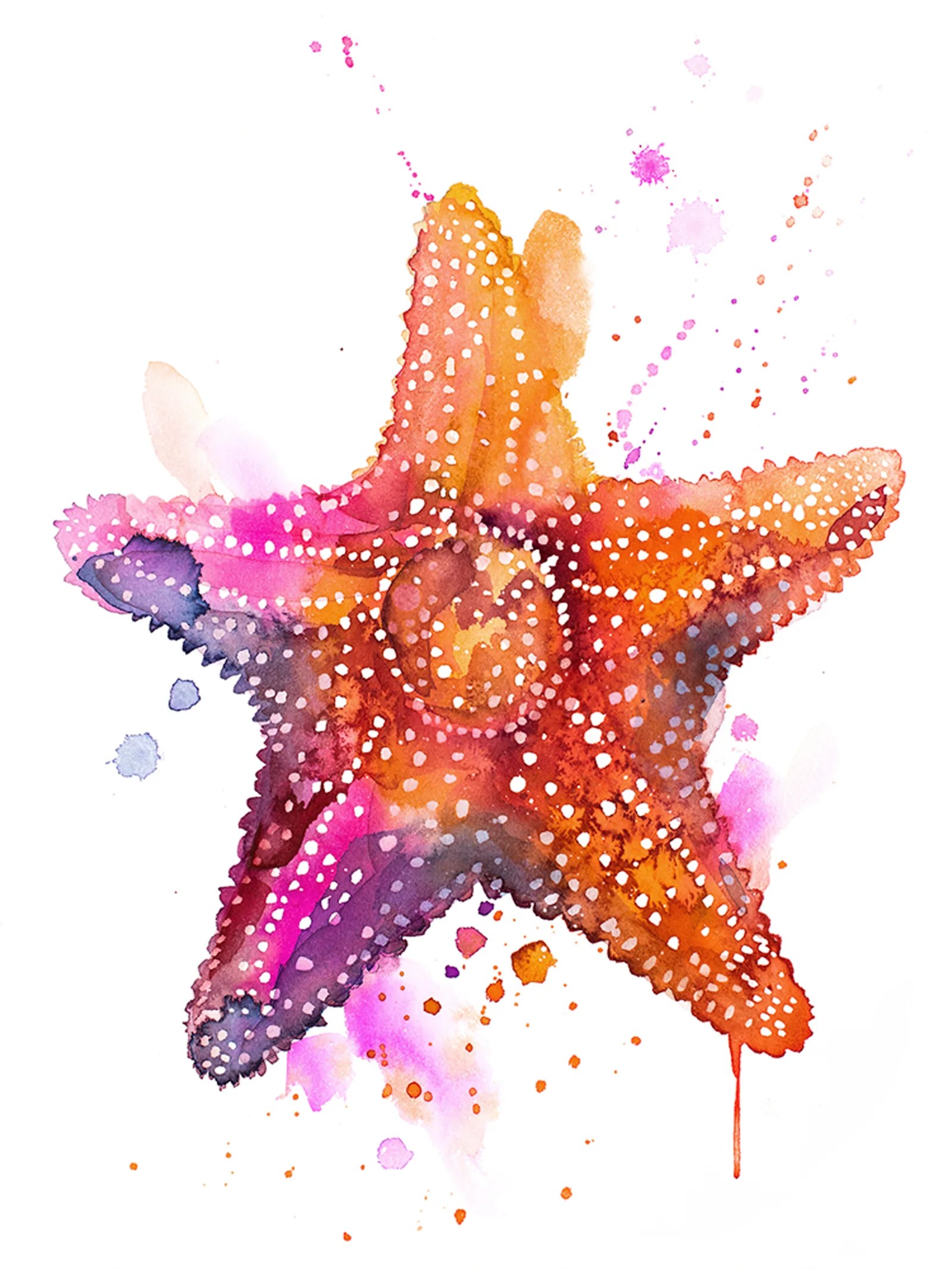 Starfish