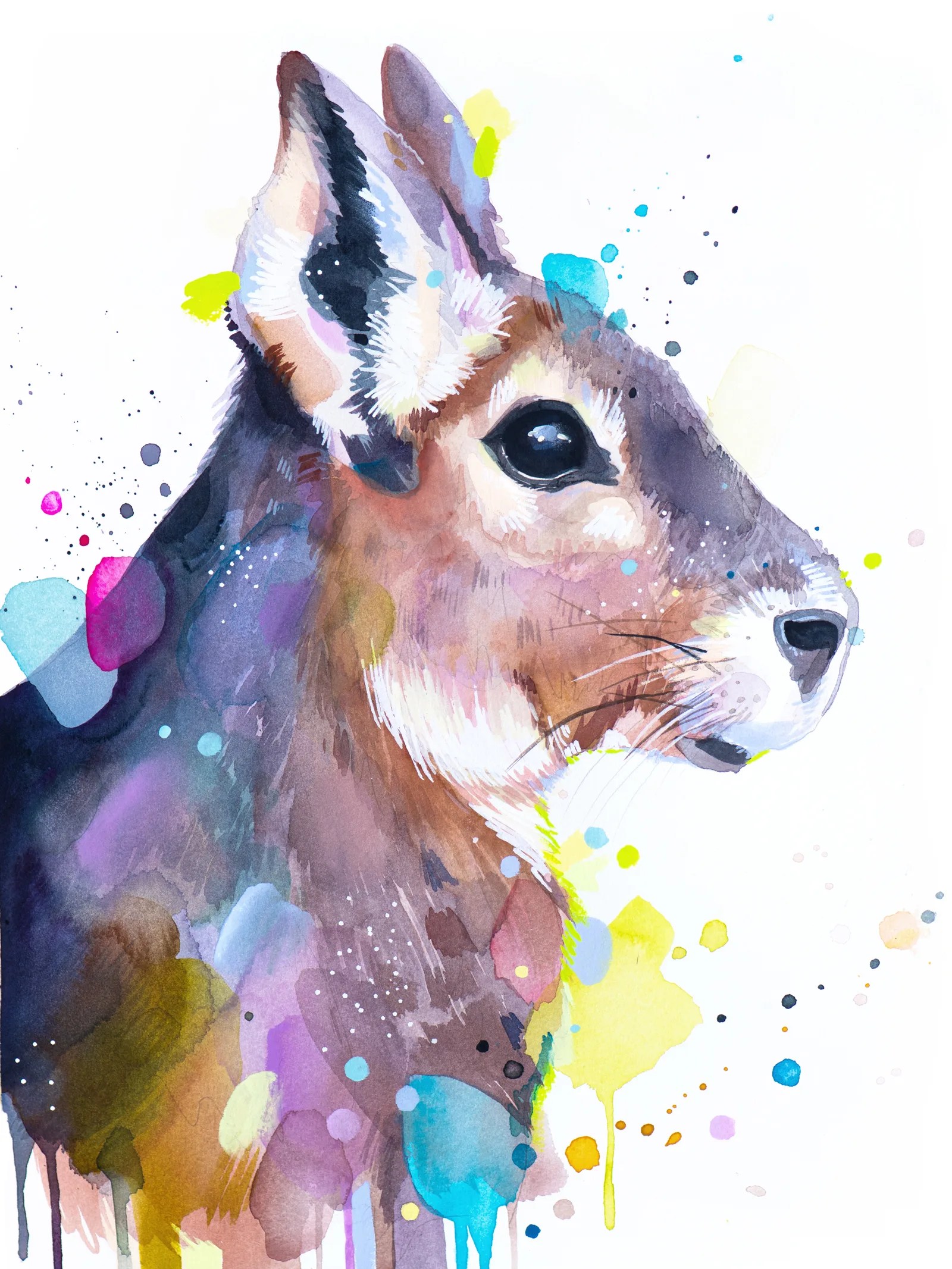 Patagonian mara