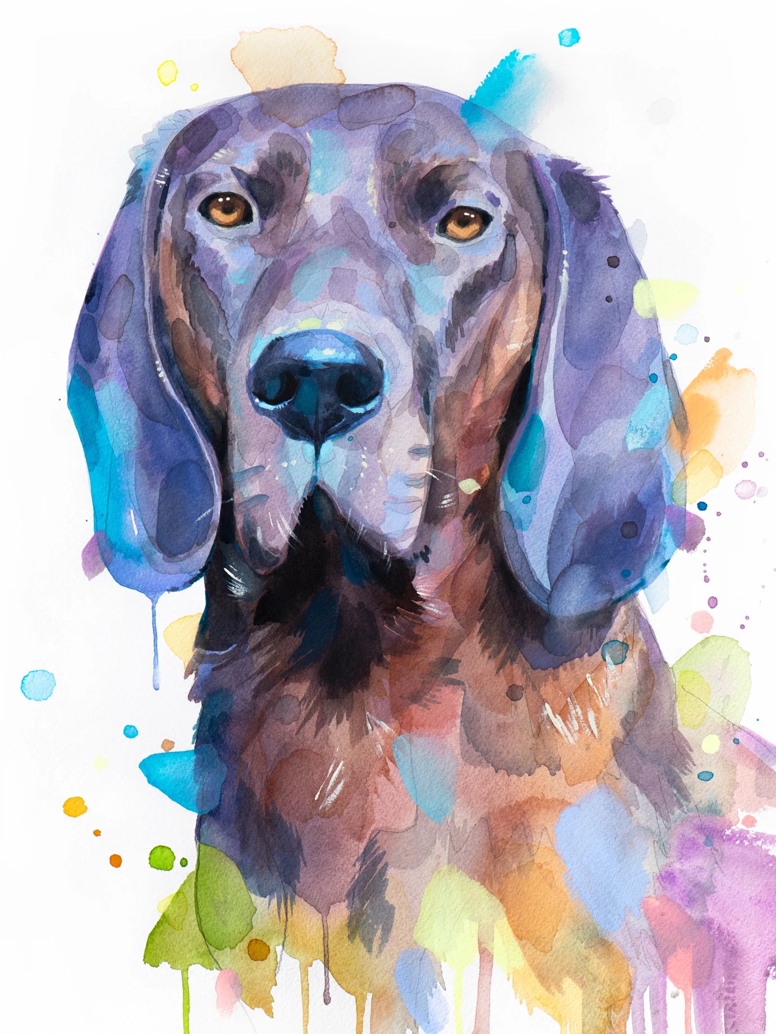Hanover Hound Dog