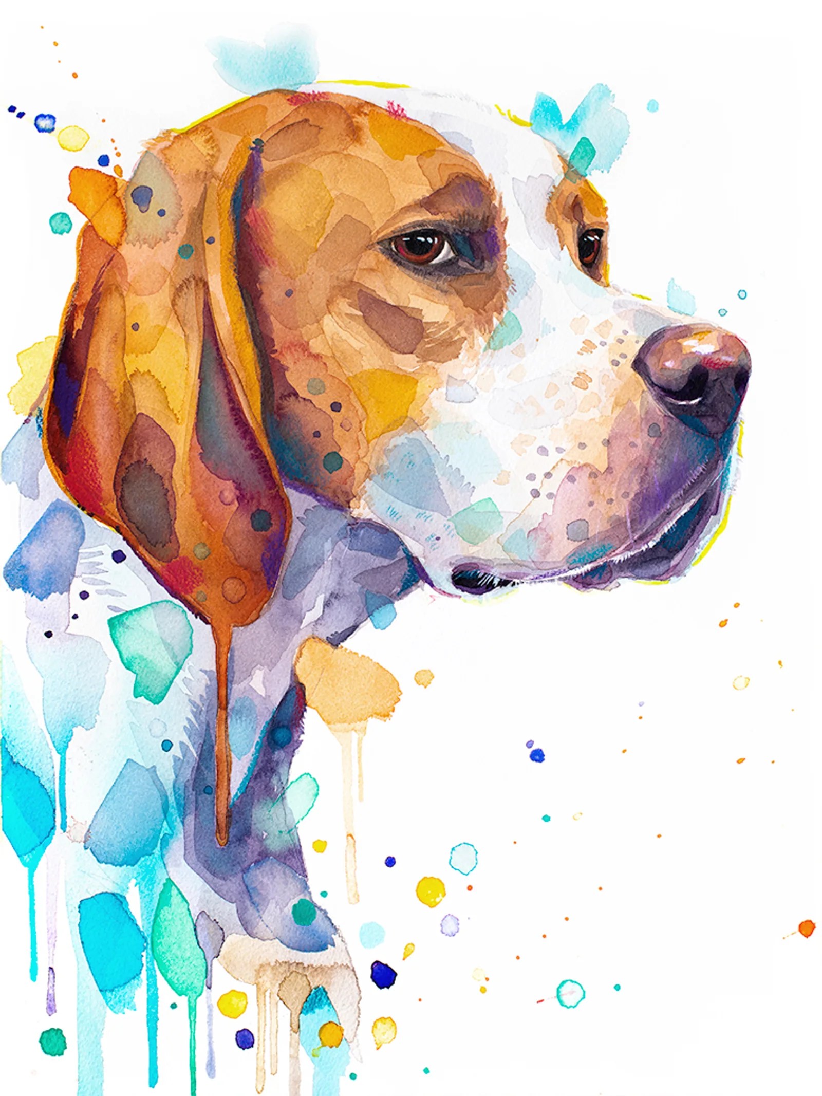 English Pointer dog