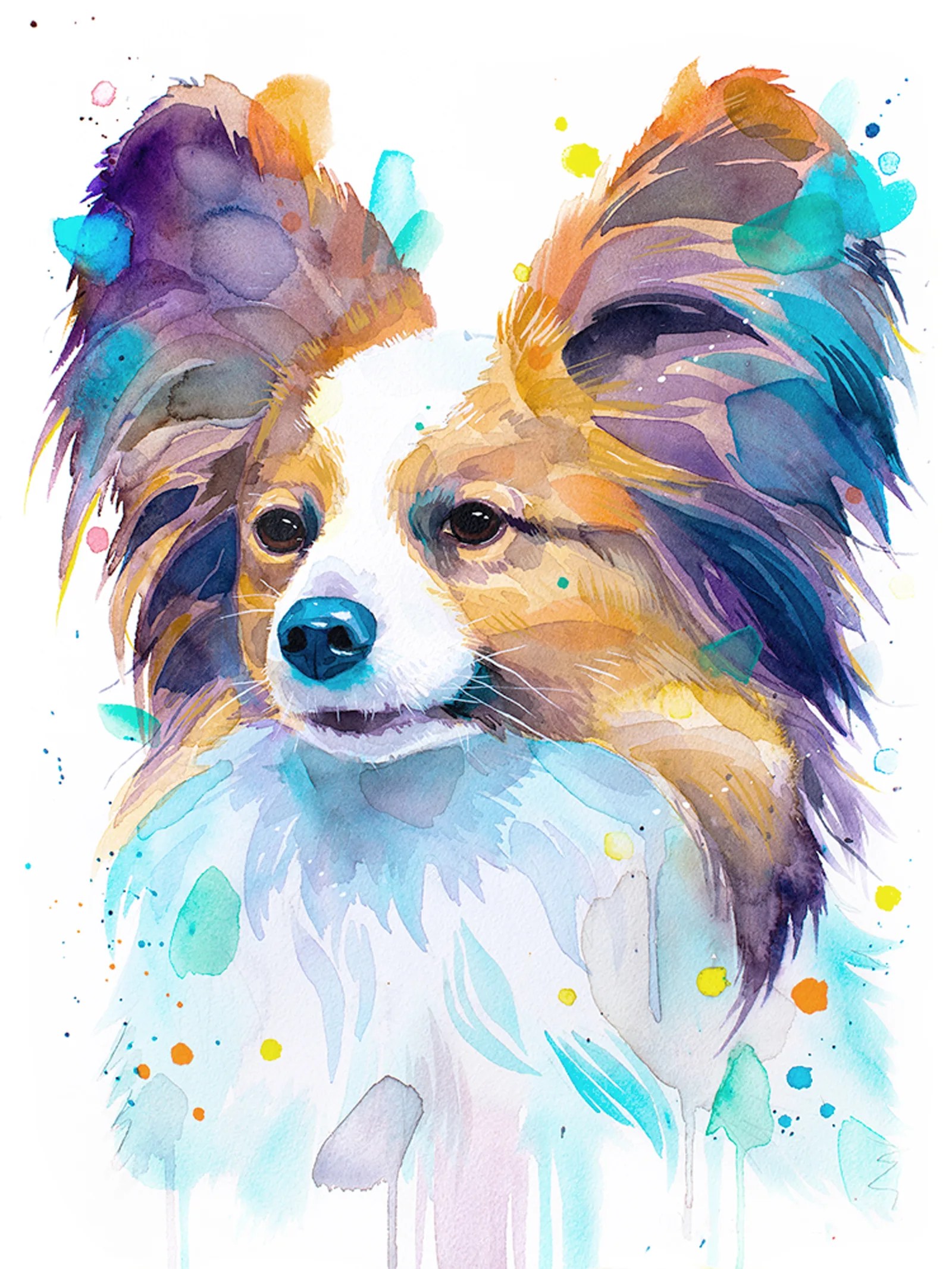 Papillon dog