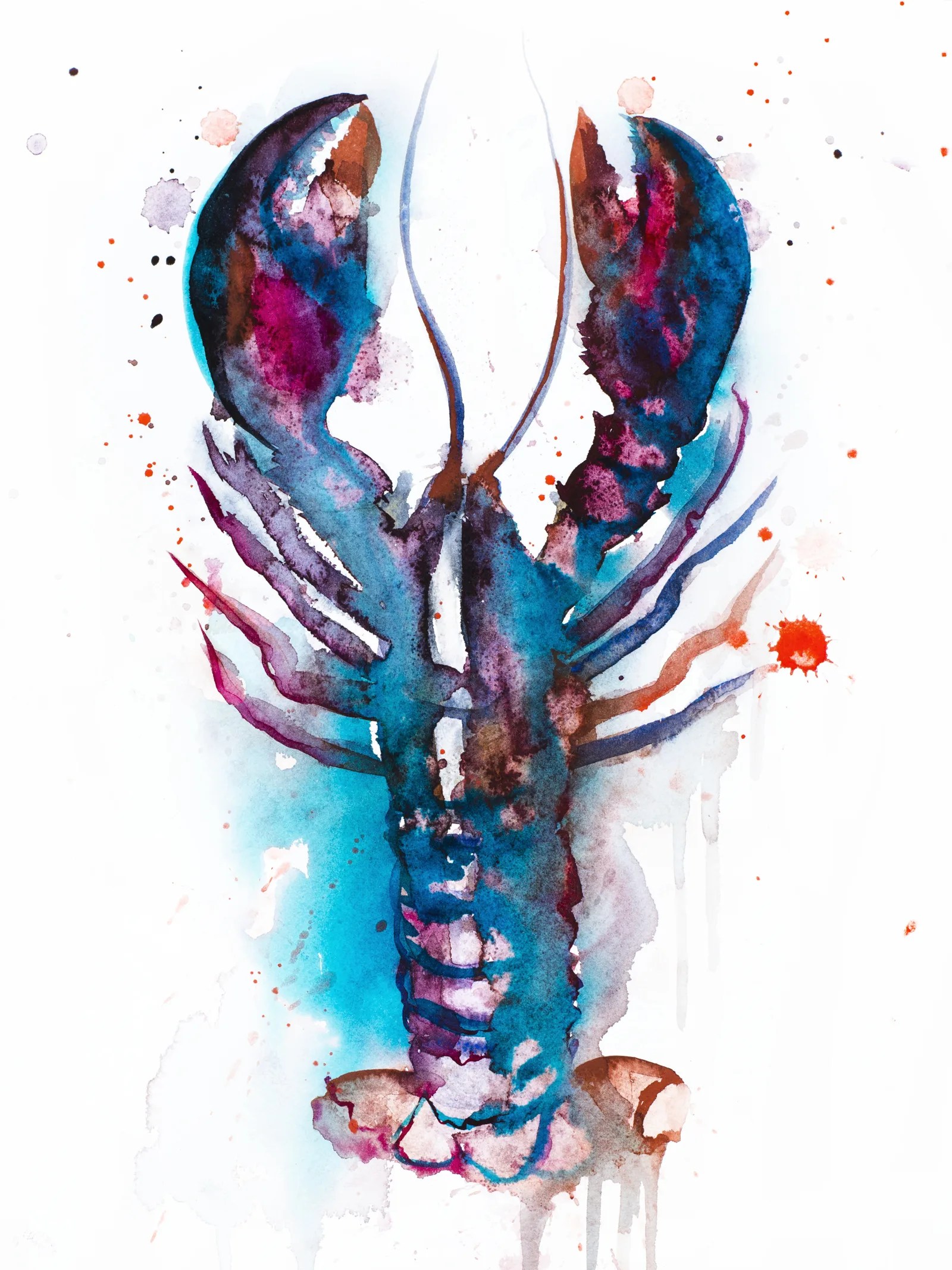 Lobster