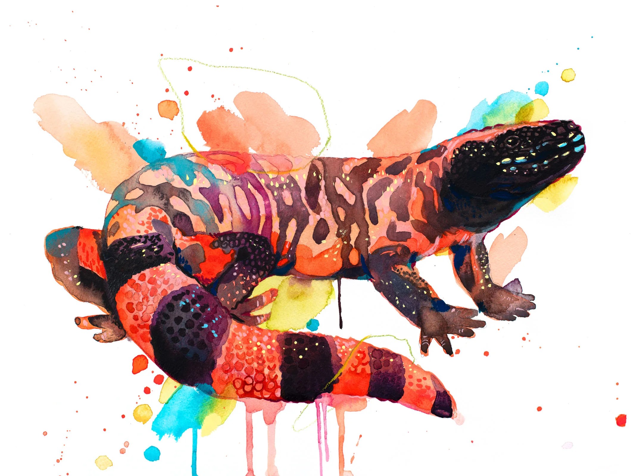 Gila Monster lizard, watercolor
