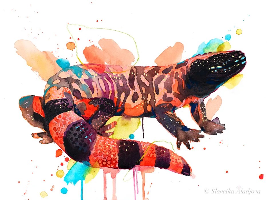Gila monster