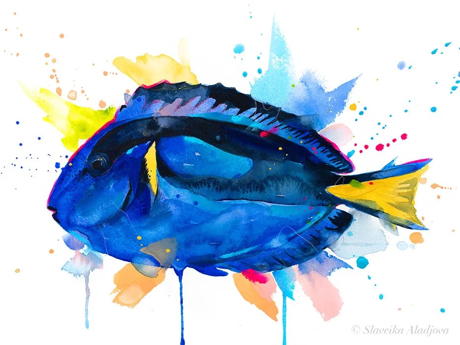 Blue tang watercolor painting print by Slaveika Aladjova, animal, Sea art, sea life art, home decor, marine fish, Paracanthurus